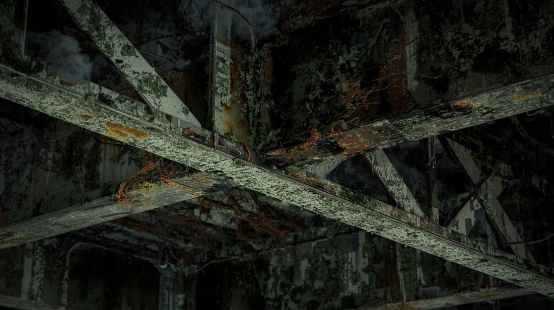 The Silent Threat in Carports: Mould and Corrosion