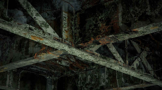 The Silent Threat in Carports: Mould and Corrosion